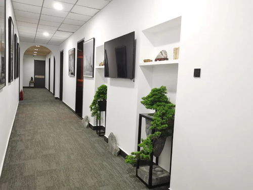 酒店設(shè)計 工裝設(shè)計 建筑裝飾工程智能化設(shè)計所