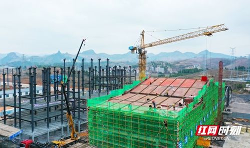 無標題